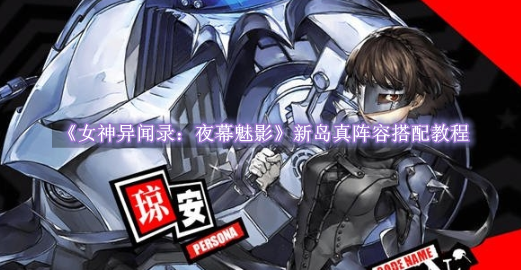 女神异闻录夜幕魅影新岛真阵容怎么搭配 女神异闻录夜幕魅影新岛真阵容搭配教程