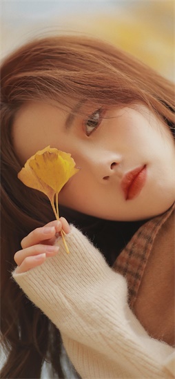 丝瓜向日葵视频app下载的文件夹截图2