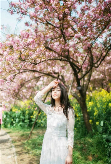 南瓜影视大全安卓手机版截图3