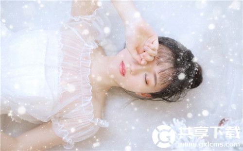 japonensisjavacomplete截图2