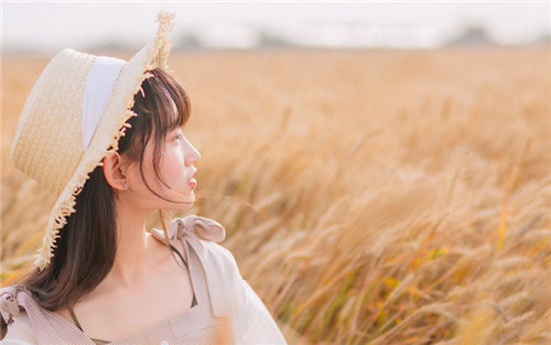 番茄视频app污ios最新版:番茄视频app下载ios版网址多少来着