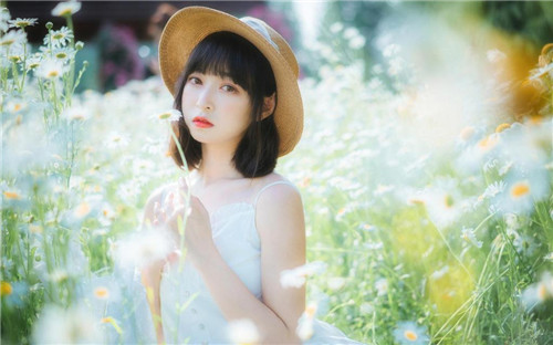 啦啦啦中文免费观看在线:福利视频资源数量超多的点播利器