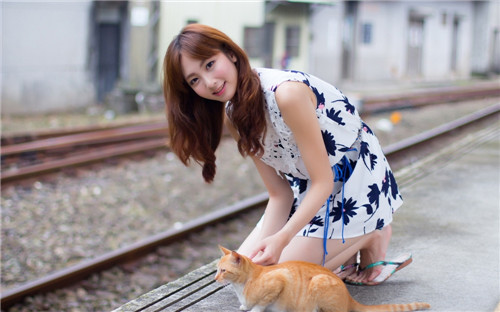 性宝福樱桃丝瓜小猪榴莲：免费观看海量精彩视频内容