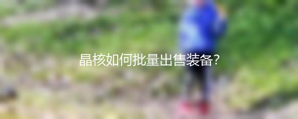 晶核如何批量出售装备？