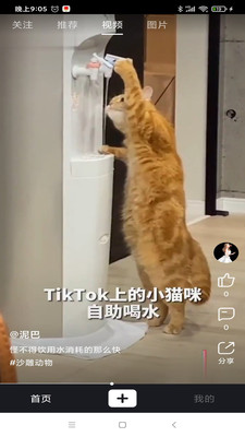 道友短视频-道友app官方版v1.1.0手机版