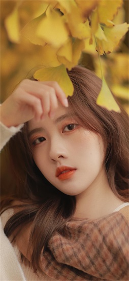 向日葵下载app免费ios截图2