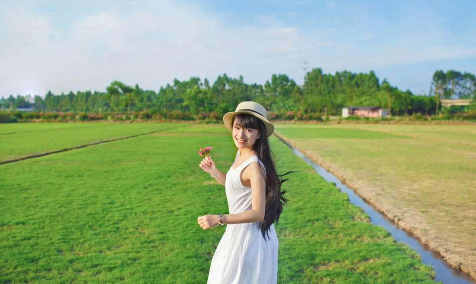 草莓樱桃丝瓜向日葵绿巨人色版截图2