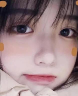 花蝴蝶免费视频直播高清版在线播放截图1