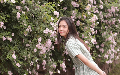 野花韩国视频在线观看免费高清版无限看:一款拥有超多优质视频大片的播放软件