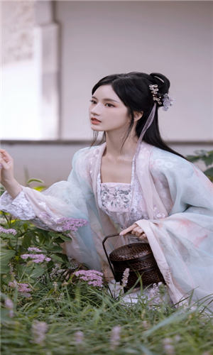 hd2linode日本成熟iphone69解锁版截图3