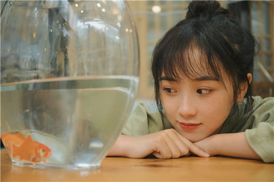 草莓向日葵秋葵香草丝瓜：全面开放的免费手机播放器