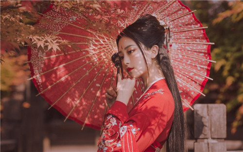 野花社区韩国免费观看高清在线优享版截图2