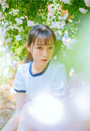 向日葵app下载汅api免费网址在线观看截图3