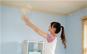 蜜蜂视频解锁版:蜜蜂视频在线观看