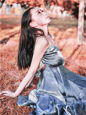 猫咪解锁版截图1