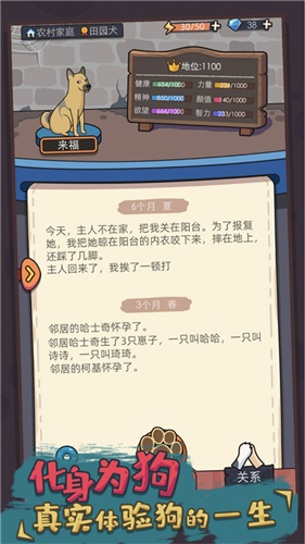 狗生模拟器游戏下载截图1