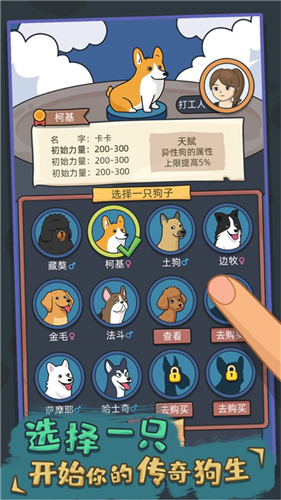 狗生模拟器游戏下载截图3
