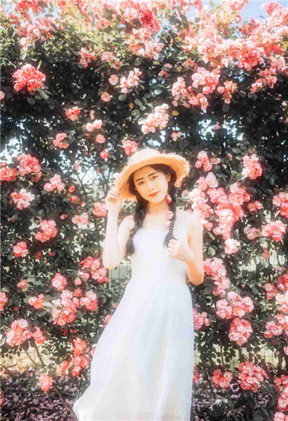 蟠桃园app下载安装截图2