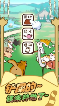 猫咪田园九游版截图3