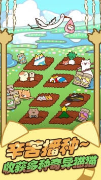 猫咪田园九游版截图2