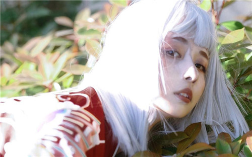 兔子视频app最新污版下载截图3