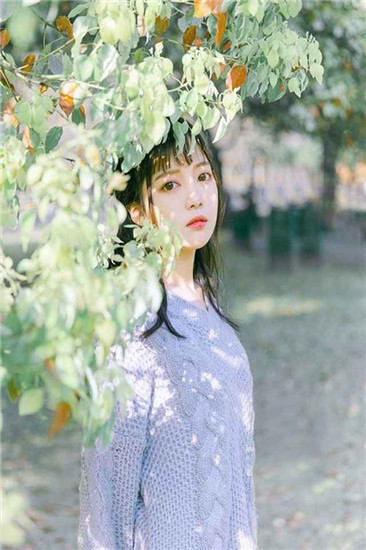 剧情找找茬正版