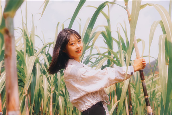 小猪秋葵幸福宝视频截图1