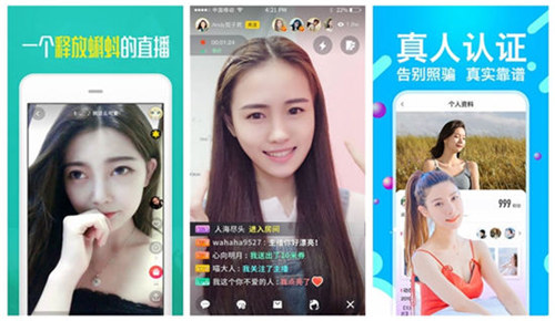 天堂岛www最新版资源下载精品版截图1