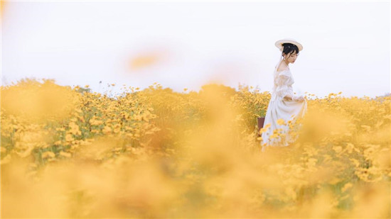 ▇小猪视频▇免费下载最新版：海量热播视频随心点播