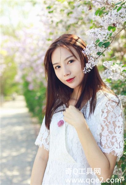 草莓丝瓜樱桃秋葵绿巨人2025截图2