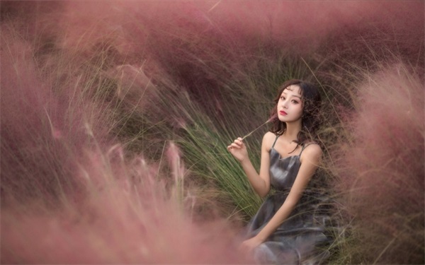 а√在线中文网新版地址在线免费版:一款为用户们提供了很多精彩好看的视频软件