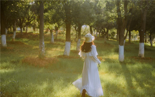 草莓香蕉榴莲黄瓜丝瓜茄子免费优享版截图3