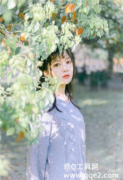 香蕉草莓茄子丝瓜秋葵绿巨人污精品版截图3