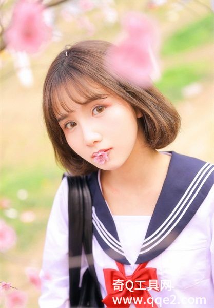 丝瓜视频鸭脖视频小猪视频苹果安卓版截图3