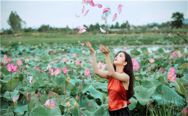 精品一卡2卡三卡4卡老狼优化新内容?网友:供不应求!