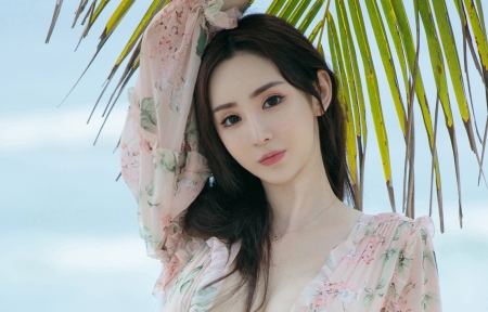 草莓向日葵秋葵丝瓜茄子:一款随时都能无限观影的软件