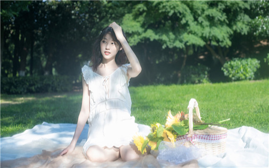 向日葵app网站总长统计截图1