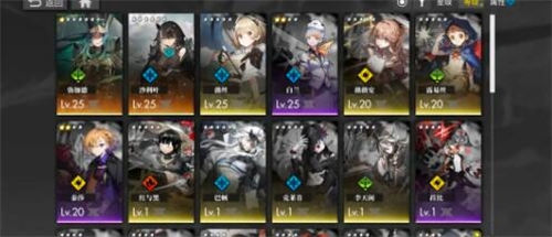 白夜极光雷队阵容怎么搭配 白夜极光雷队阵容搭配攻略