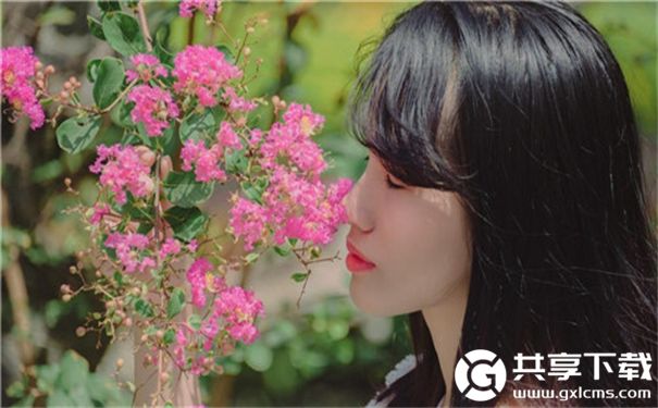 在线观看草莓视频mv的免费下载网站截图2