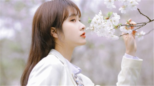 凌晨三点看的片www视频动漫版：一款可以白嫖观看的影视播放软件