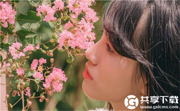 在线观看草莓视频mv的免费下载网站截图3