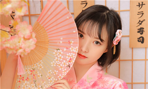 欧美性VIVOX21精品版:一款小巧实用的播放软件