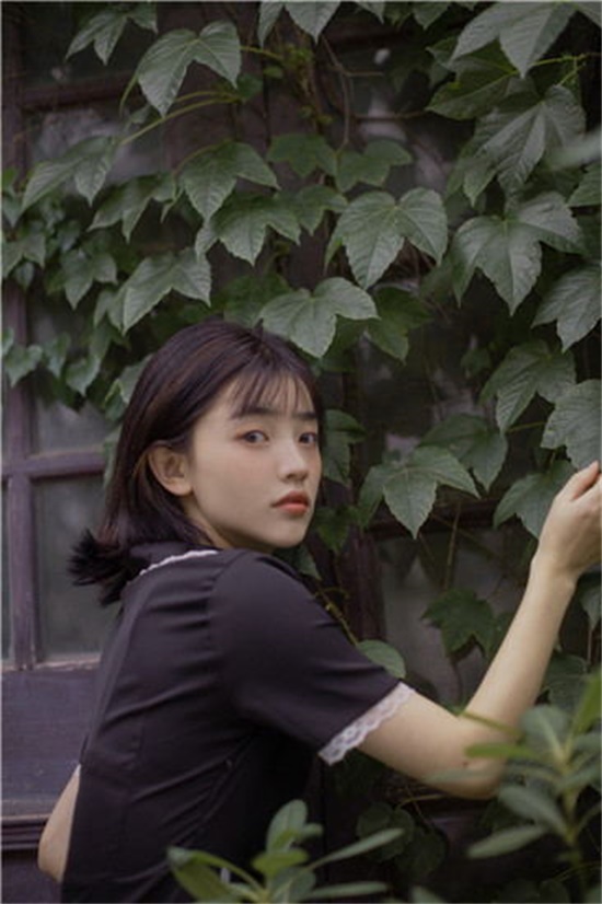 野花社区观看免费动漫视频截图1