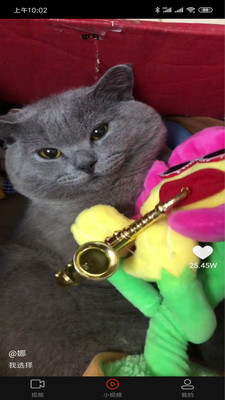 f2d6app富二代下载网址免费下载截图2