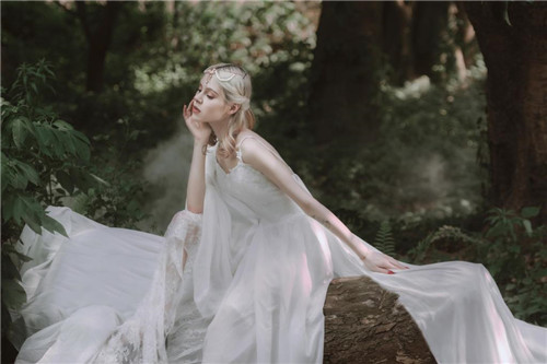 西柚视频解锁版vip：会员免费订阅视频无限制观影的多功能播放器