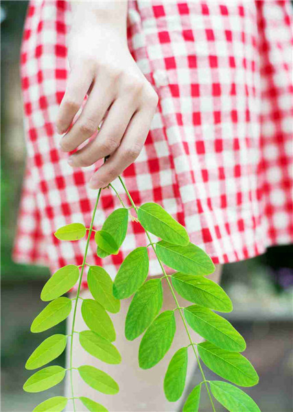 国产成视人豆奶短视频app截图1