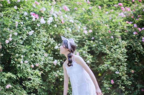 石榴蕾丝榴莲向日葵草莓丝瓜秋葵大全：可以持续带给您快乐的播放APP