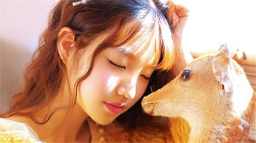 とらぶるだいありぴーち在线不需要安装插件，亲测安全无毒