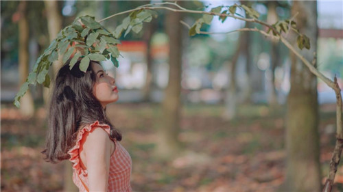 草莓樱桃丝瓜绿巨人秋葵番茄污最新版截图1