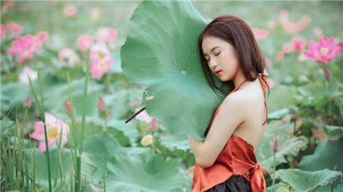 草莓香蕉榴莲黄瓜丝瓜茄子免费下载截图3